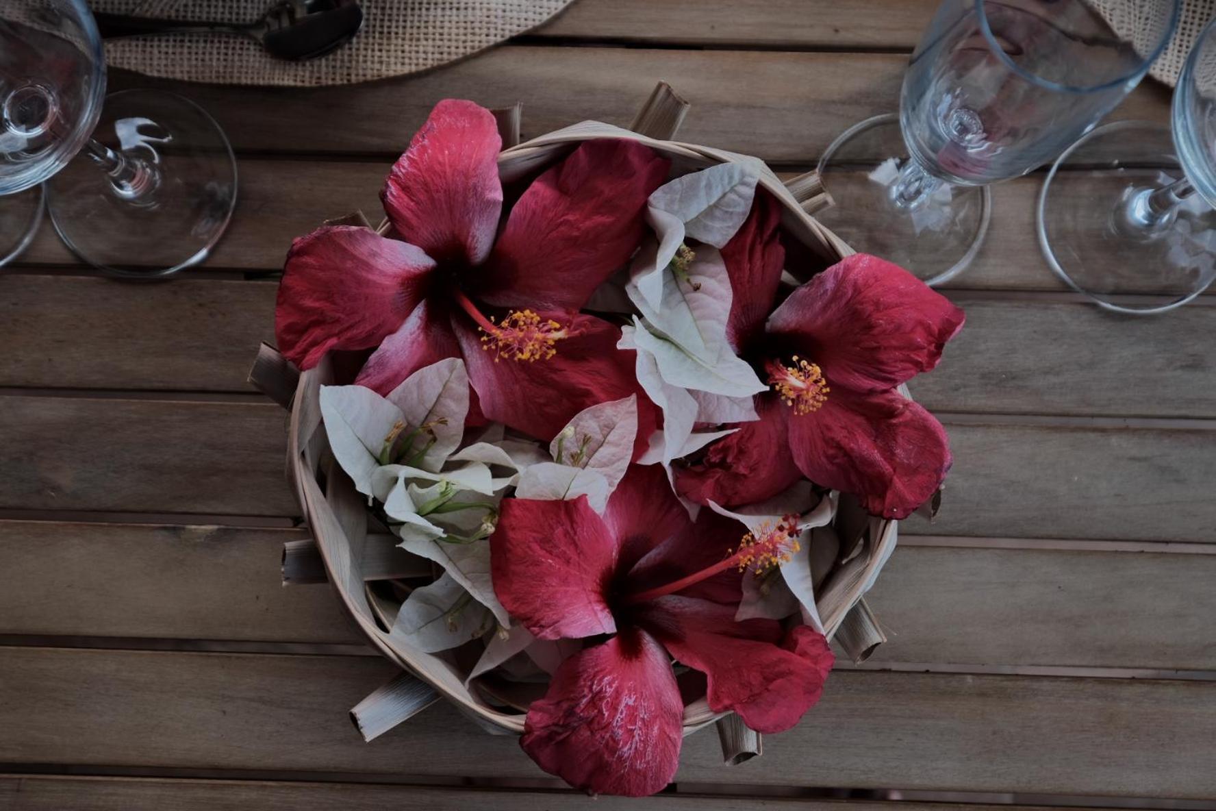 Residence Terre Et Passion Ducos 외부 사진